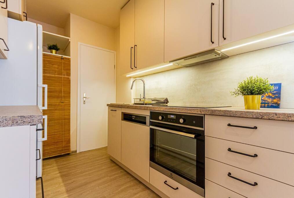 Roomy Apartment 80Sqm At City Center Free Parking Space, Ac & Balcony Будапеща Екстериор снимка