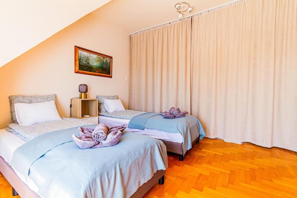 Roomy Apartment 80Sqm At City Center Free Parking Space, Ac & Balcony Будапеща Екстериор снимка