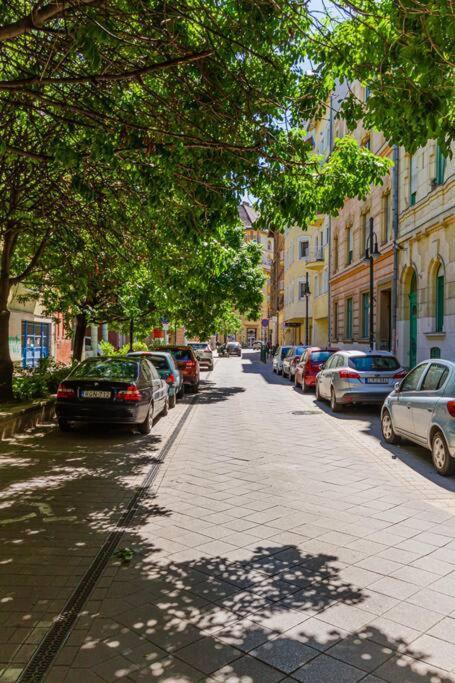Roomy Apartment 80Sqm At City Center Free Parking Space, Ac & Balcony Будапеща Екстериор снимка
